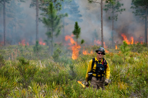 Fire management to maintain forest ecosystems in USA